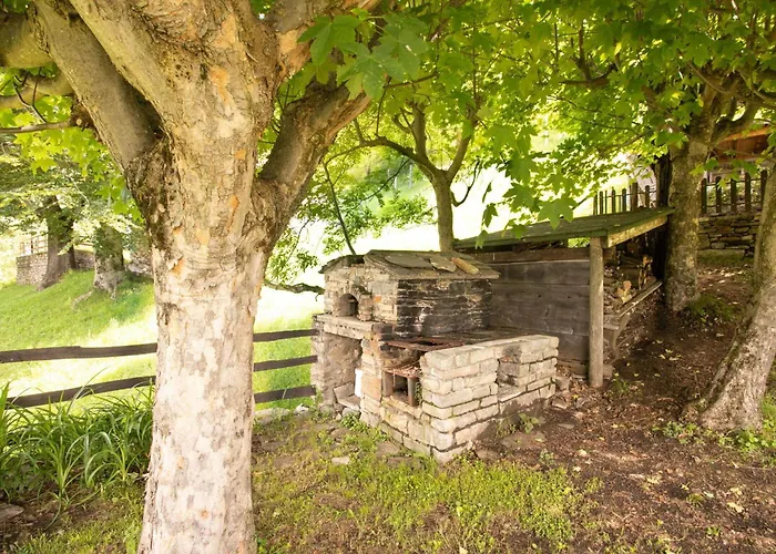 Bodone By Halldis Livo